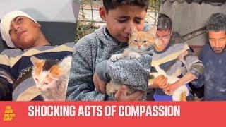 Palestinians RISK Their Lives To Save Animals