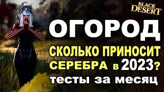 ОГОРОД в 2023. Сколько серебра за месяц нафармила в БДО (BDO - Black Desert)