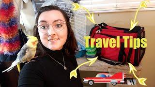 Travel Tips With Birds