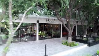 Folia Exotic Plant Shop