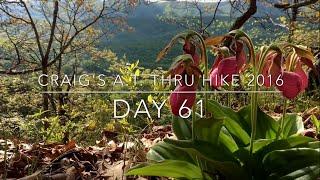 Craig's Appalachian Trail Thru Hike 2016: Day 61