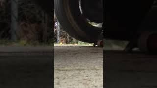 Axle Pinion Bearing Failure