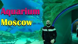 The best aquarium to see in Moscow  – beautiful fishes – One of The biggest Aquarium in the world