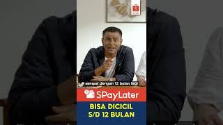 Solusi ala Dewi Perssik Untuk Bang Judika | Pakai SPayLater Bisa Dicicil s/d 12 Bulan