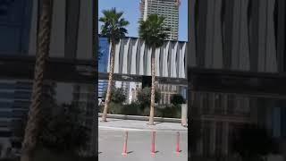 The beauty of Dubai
