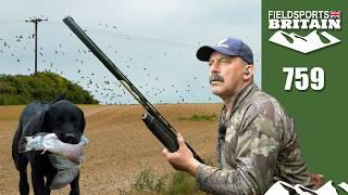 Fieldsports Britain – Decoying without decoys