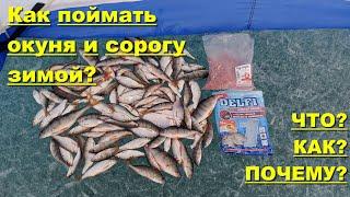 Как поймать окуня и сорогу зимой?