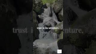 Flow, Trust & Align 