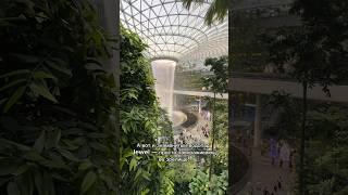 Сингапур , последний день, аэропорт Changi