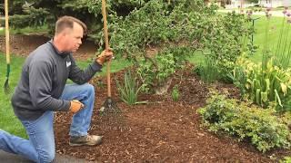 Bed Preparation and Remulching