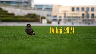 Dubai 2024