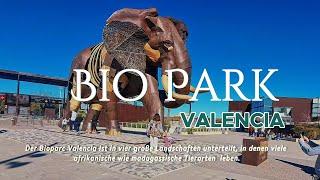 Valencia Bio Park 2024 #valencia #bioparc #animals #spain #spaintravel