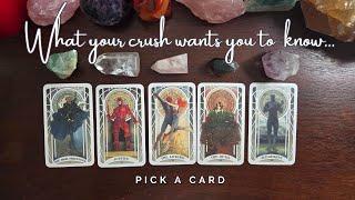 ..:: What your crush would like you to know ::.. pick a card ..:: love tarot ::..