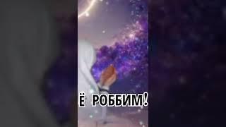 #гуласал 