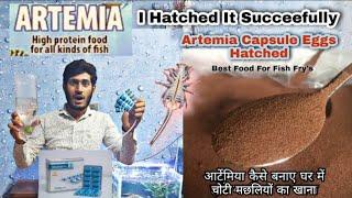 Artemia hatching correct method आर्टीमिया हैचिंग सही विधि Best Food For Fry's - Part-1