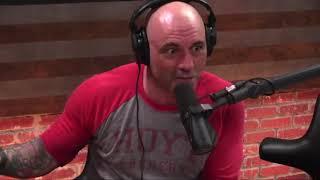 Joe Rogan on Weed & Introspection