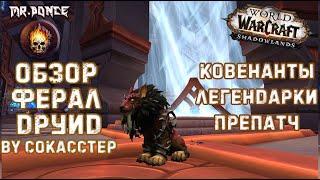  Обзор Ферал Друид WOW Shadowlands патч 9.0.2️Ковенанты Легендарки  | Сила Зверя Кот препатч 9.0.1