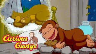 George The Hibernating Monkey!  Curious George  Kids Cartoon  Kids Movies