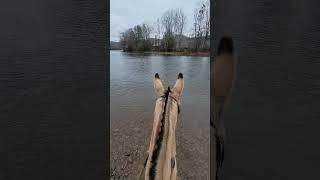 Greenbrier River Trail April 9 2024