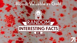 Blood: Valuable as Gold | EP 5 RIF