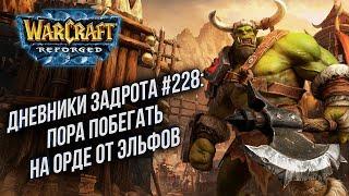 [СТРИМ] Дневники задрота: в Warcraft 3 Reforged !Патч !Турнир 28 ноября