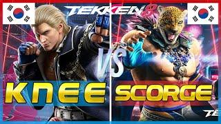 Tekken 8 - New Patch 1.05 | Knee Steve Fox is a Menace For Online Players - Ranked Matches