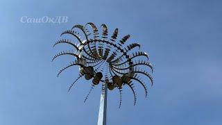 Цветок папоротника. На это можно смотреть вечно... Fern flower...