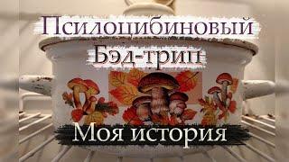 Грибное путешествие / Псилоцибиновый бэд трип / Волшебные грибы / Страх смерти