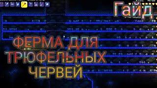 Как добывать трюфельных червей в террарии, арена для фарма Гайды в терраиии