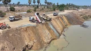 BEST 60P Bulldozer Techniques for Filling a Large Pond with Mud!