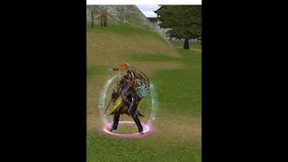 Metin2Ro - Carpathians CorruptedNBN record dmg personal