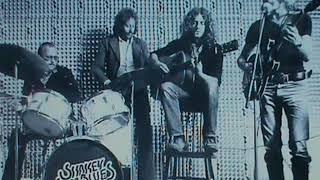 Shakey Sam Blues Band--Live 77