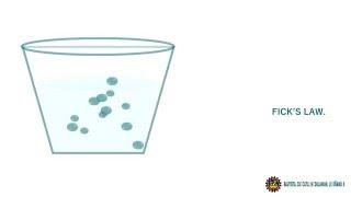 Fick's Law of Diffusion