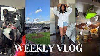 WEEKLY VLOG: dating again + my dogs are back + home decor