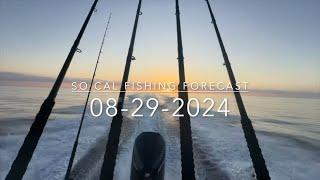 So Cal Fishing Forecast 08-29-2024