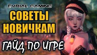 Советы и помощь новичкам: гайд по Blade and Soul (классы, прокачка, кап)