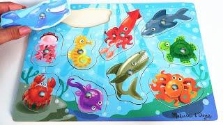 Learn About Sea Animals Puzzle | Learning Videos for Kids