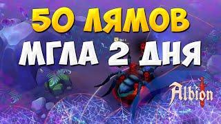 Мгла Боссы Альбион Онлайн как заработать во МГЛЕ Albion Online 50 лямов 12 боссов 55 артефактов new