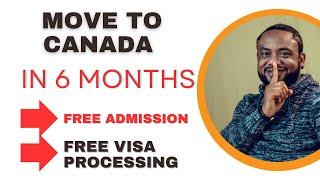 MOVE TO CANADA IN 2024 || FREE ADMISSION AND VISA PROCESSING TO CANADA