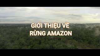 Giới thiệu về rừng amazon