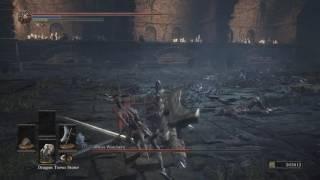 Starved Gecko vs Arty's Fanboys