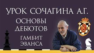 Видеоурок А.Г. Сочагина. Основы дебютов. Гамбит Эванса