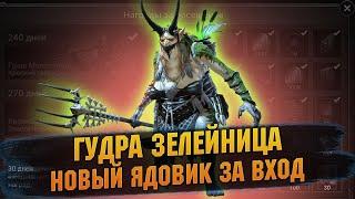 Гурда Зелейница Новый ЯДОВИК за ВХОД - RAID Shadow Legends