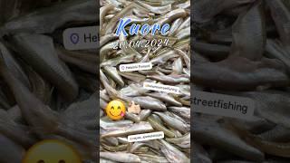 European Baltic Smelt (fish) #fishing #kalastus #рыбалка #рыбалкавфинляндии #корюшка #fishfood #еда