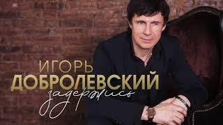 Игорь Добролевский Задержись(Official Audio 2019)