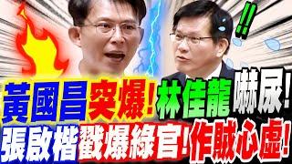 【全字幕】黃國昌突然炸了！外交部長林佳龍嚇尿！張啟楷戳爆綠官心機！作賊心虛！立院質詢 #惡檢錄音帶#柯文哲