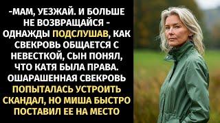 Подслушав, как свекровь общается с невесткой, сын понял, что Катя была права и поставил ее на место