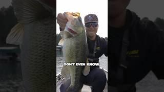 Do Largemouth Bass TASTE GOOD?!  #fishing