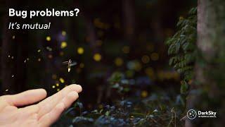 The Impact of Artificial Lights on Insects | International Dark Sky Week with Dr Avalon Owens