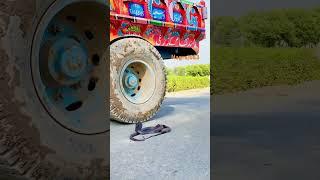 Road per Nag nagin tractor trali ke aage #shortvideo #Nagnagin #shorts